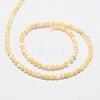 Natural Sea Shell Round Bead Strands SSHEL-M013-4mm-02-2