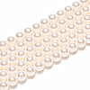 Baking Painted Pearlized Glass Pearl Bead Strands HY-N002-5mm-A11-3