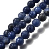 Natural Sodalite Round Bead Strands G-P072-27-4mm-2