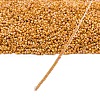 MIYUKI Delica Beads X-SEED-J020-DB2303-4