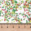 4 Colors 11/0 Christmas TOHO Round Seed Beads SEED-X0058-26-4