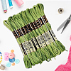10 Skeins 6-Ply Polyester Embroidery Floss OCOR-CY0004-38K-3