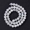 Natural Rainbow Moonstone Beads Strands G-I249-B04-05-3