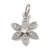 Rack Plating Brass Micro Pave Clear Cubic Zirconia Charms KK-U030-19P-1