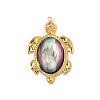 304 Stainless Steel & Shell Pendants STAS-OY014-48G-1