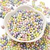 Baking Painted Glass Seed Beads SEED-C004-04E-2