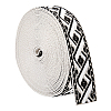Vintage Jacquard Polyester Ribbon OCOR-WH0109-334C-1
