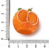 Opaque Resin Imitation Fruit Pendants LS-RESI-H045-01A-01-3