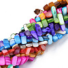 Natural Trochid Shell/Trochus Shell Beads Strands SHEL-S258-082-2