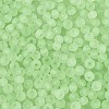 FGB Frosted Transparent Glass Seed Beads SEED-N013-04A-08-3