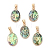 Constellation Natural Paua Shell Pendants KK-P265-01G-04-1