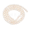 Natural Cultured Freshwater Pearl Beads Strands PEAR-F020-13-3
