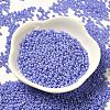 Baking Paint Glass Seed Beads SEED-P006-03A-34-2
