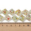 Frosted Handmade Lampwork Beads Strands LAMP-A010-01C-4