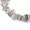 Natural Labradorite Chip Beaded Stretch Bracelets BJEW-JB12316-01-4