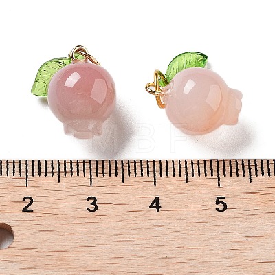 Natural Agate Fruit Charms with Leaf G-Z052-03A-1