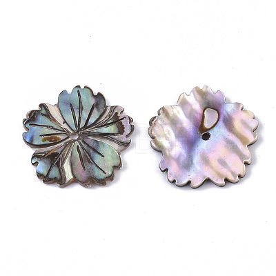 Natural Paua Shell/Abalone Shell Beads SSHEL-R046-02-1