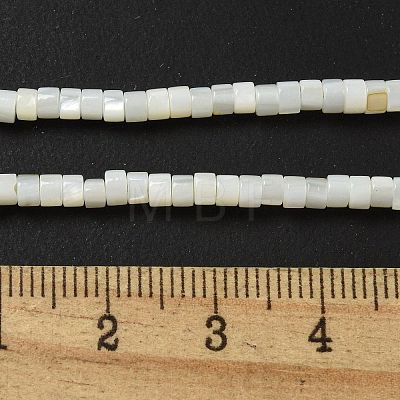 Natural Freshwater Shell Beads Strands BSHE-G039-03-1