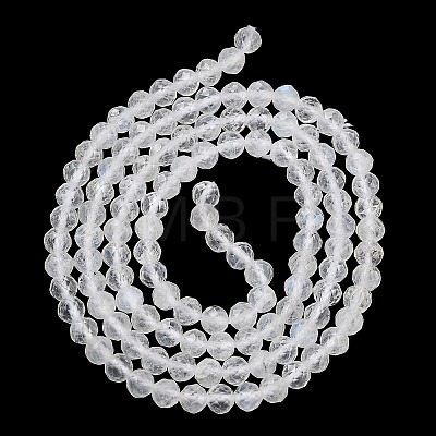 Faceted Round Natural Rainbow Moonstone Bead Strands G-F289-05-1