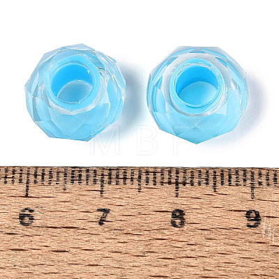 Resin European Beads RESI-Q236-01A-05-1