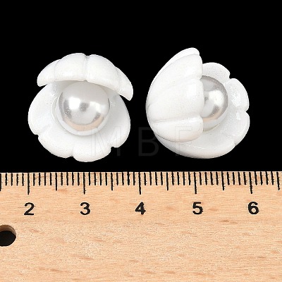 Resin Cabochons CRES-D312-07-1