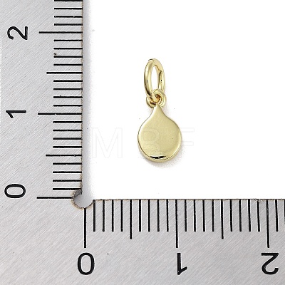 Rack Plating Brass Enamel Charms KK-M293-40G-02-1