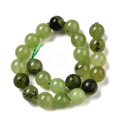 Dyed Natural Malaysia Jade Beads Strands G-G021-02B-14-1