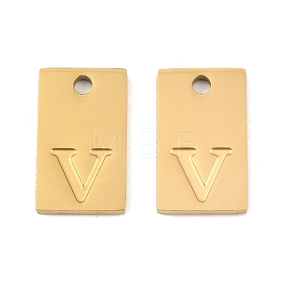 304 Stainless Steel Pendants SA-CBA1839-21G-V-1