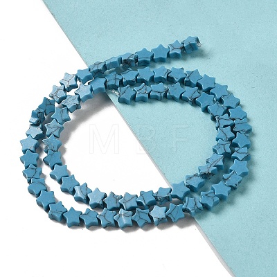 Dyed Synthetic Turquoise Beads Strands G-G085-B31-02-1