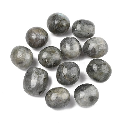 Natural Labradorite Beads G-G348-01B-10-1