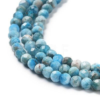 Natural Apatite Beads Strands G-J400-E04-01-1