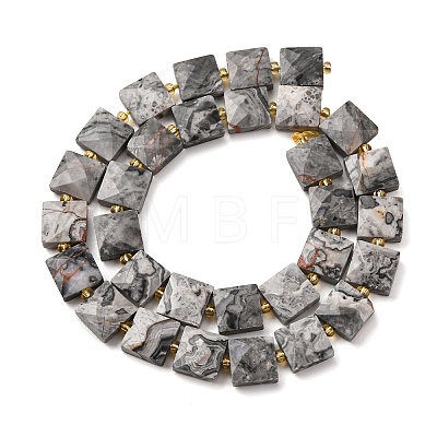 Natural Map Stone Beads Strands G-F839-A32-01-1