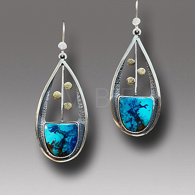 Alloy Enamel Dangle Earrings FS-WG6E131-16-1
