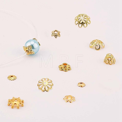 Iron & Brass & Alloy Bead Caps IFIN-SC0001-10-1