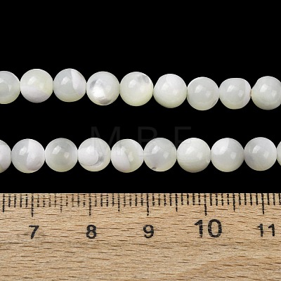 Natural Trochid Shell/Trochus Shell Beads Strands SH-CBA2978-16B-1
