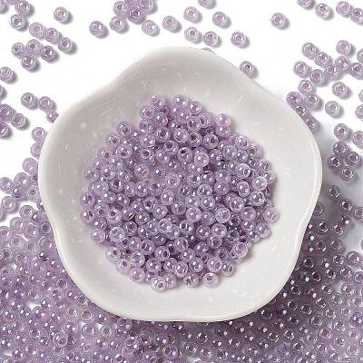 Glass Seed Beads SEED-H002-E-A1421-1