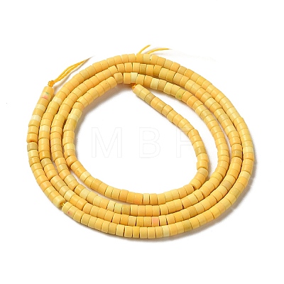 Natural Agate Beads Strands G-C139-A08-01-1