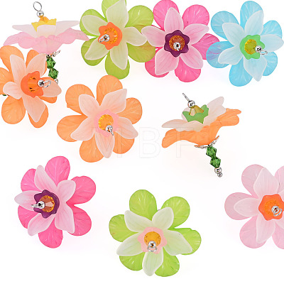 Acrylic Pendants PALLOY-TADJ00012-1