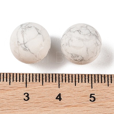 Natural Howlite No Hole Sphere Beads G-K353-04B-20-1