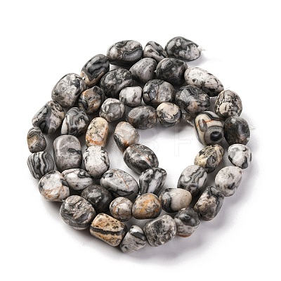 Natural Map Stone Beads Strands G-G146-A11-01-1