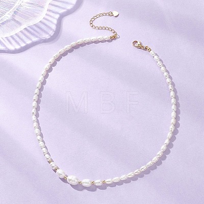 Natural Cultured Freshwater Pearl Necklaces for Women NJEW-JN05940-1