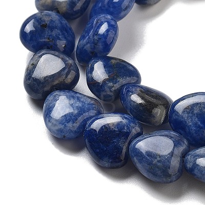 Natural Sodalite Beads Strands G-R190-10mm-37-1