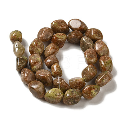 Natural Unakite Beads Strands G-B078-D25-04-1