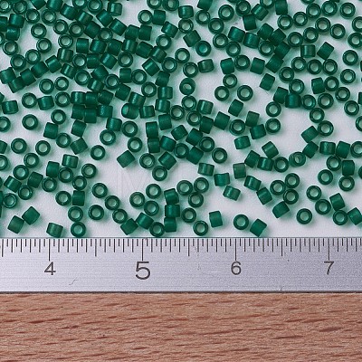 MIYUKI Delica Beads SEED-J020-DB0776-1