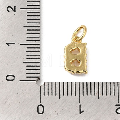 Rack Plating Brass with ABS Plastic Imitation Pearl Charms KK-B092-30B-G-1