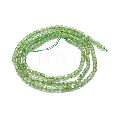 Natural Green Apatite Beads Strands G-P457-B01-12-1