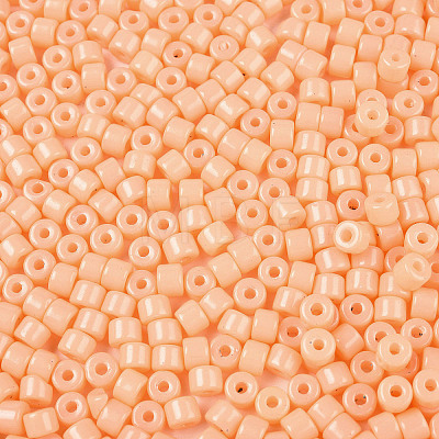 Opaque Baking Paint Glass Seed Beads SEED-T008-02D-1