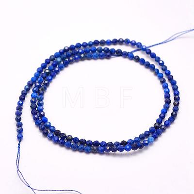 Natural Lapis Lazuli Beads Strands G-F509-14-2mm-1