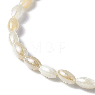 Natural Freshwater Shell Beads Strands SHEL-C003-06-1