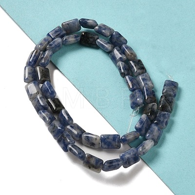 Natural Sodalite Beads Strands G-G085-A18-01-1